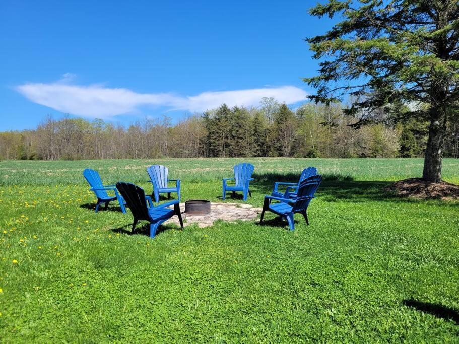 Family Friendly Cottage ☆Walking Distance To Beach Lion's Head Bagian luar foto