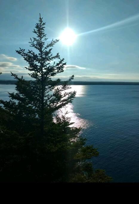 Family Friendly Cottage ☆Walking Distance To Beach Lion's Head Bagian luar foto